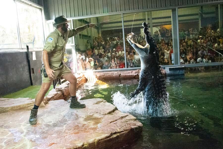 Ballarat: Wildlife Park Entry Ticket - A Detailed Look at Ballarat Wildlife Park