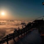 Bamboo Sea Direct Access Tour: High-Speed Rail from Shanghai - Exploring Nanshan Bamboo Sea and Pandas