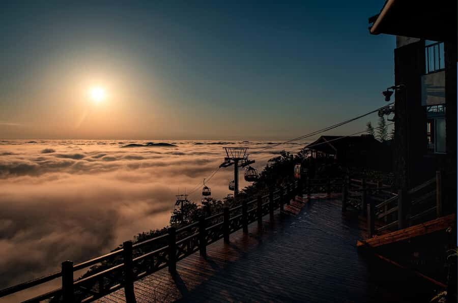 Bamboo Sea Direct Access Tour: High-Speed Rail from Shanghai - Exploring Nanshan Bamboo Sea and Pandas