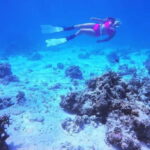 Bantayan Island: Fundive Freediving Excursion - The Equipment and Safety