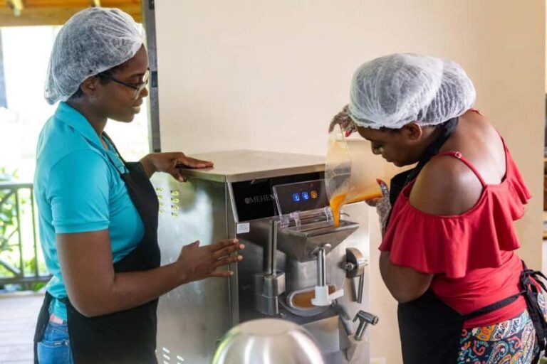 Barbados: Fruit-to-Scoop Culinary Experience; Make Sorbets - The Fun Begins: Making Your Own Sorbet