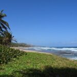 Barbados Paradise Tour with Hotel Transfers - Why This Tour Offers Great Value