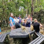 Barbados Private Island Tour: A Fully Customizable Experience - Why Choose This Tour?