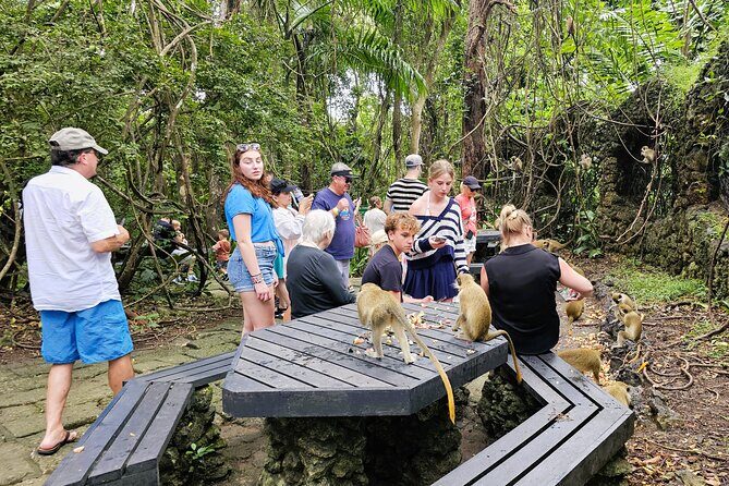 Barbados Private Island Tour: A Fully Customizable Experience - Why Choose This Tour?