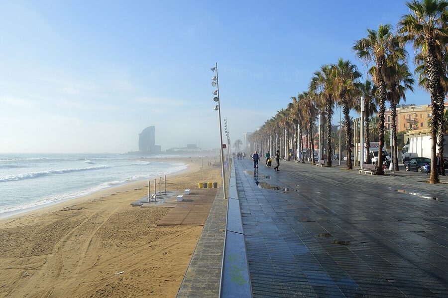 Barceloneta beach promenade with palm trees