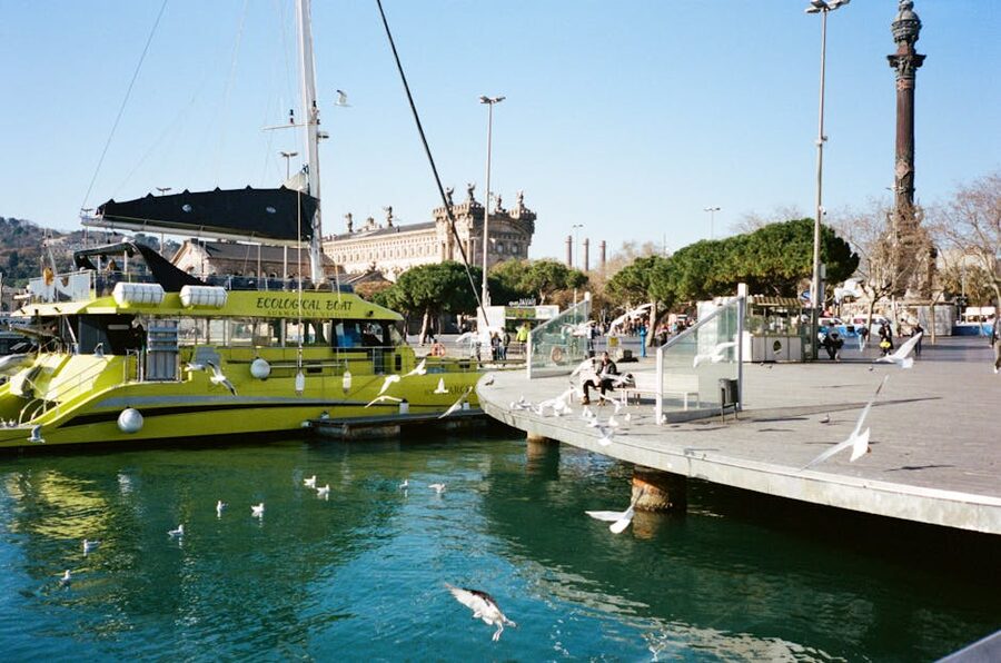 Eco boat at Barcelona harbour with seagulls