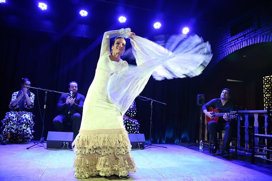 Bailaora in motion at a small flamenco bodega