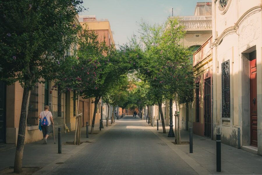 A peaceful tree-lined street in Barcelona's Gracia neighbourhood