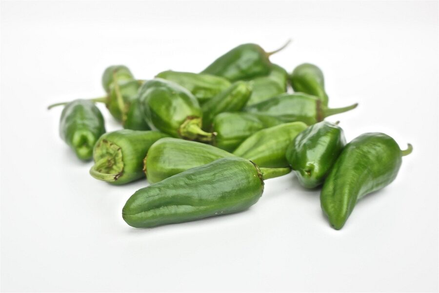 Pimientos de Padron Spanish tapa starter