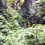 Basseterre Rainforest Hike - The Practical Side: Transportation, Group Size, and Cost