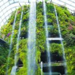 Bay Cloud Forest Gardens, Flower Dome, Jurassic World Experience - Price and Value Analysis
