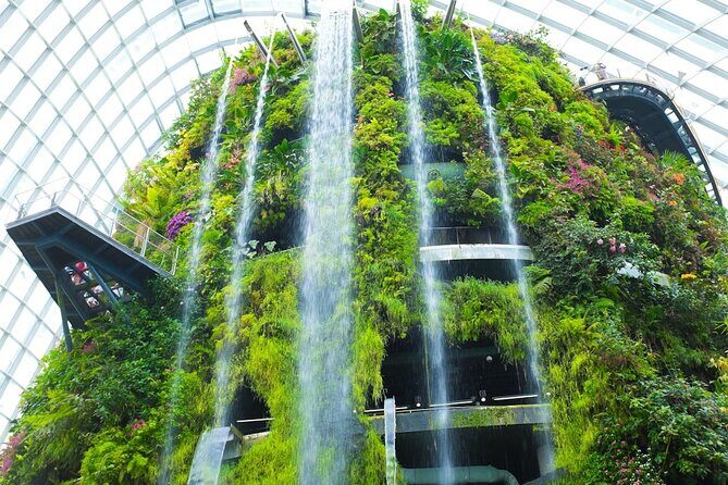 Bay Cloud Forest Gardens, Flower Dome, Jurassic World Experience - Price and Value Analysis