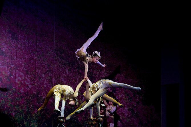 Beijing Night Tour- Acrobatic Show with Transfer - Who would love this?