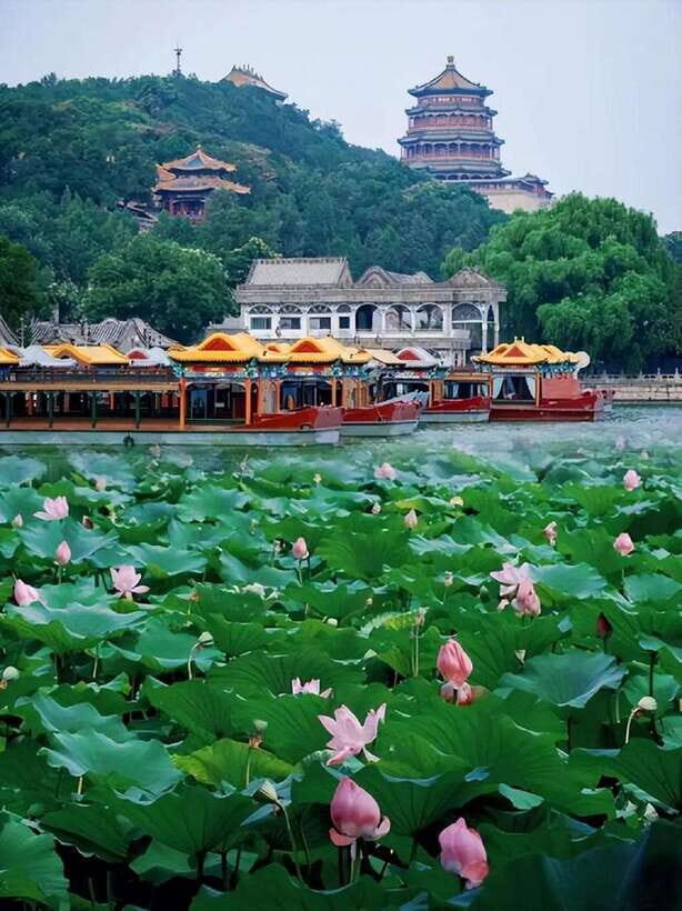 Beijing: Summer Palace Entry Ticket - Who Should Consider This Tour?