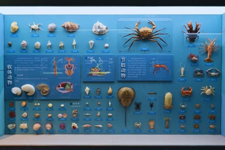 Beijing: Ultimate Cultural TourTemple, Museum & Old Street - What Makes This Tour Stand Out?