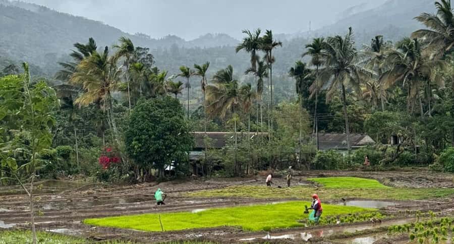 Belihuloya Trails Stage 1 : 3-Day Tour with Drop off at Ella - Who Will Love This Tour?