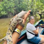 Bentota River Safari with Bazaar from ahungalla - The Experience’s Strengths and Considerations