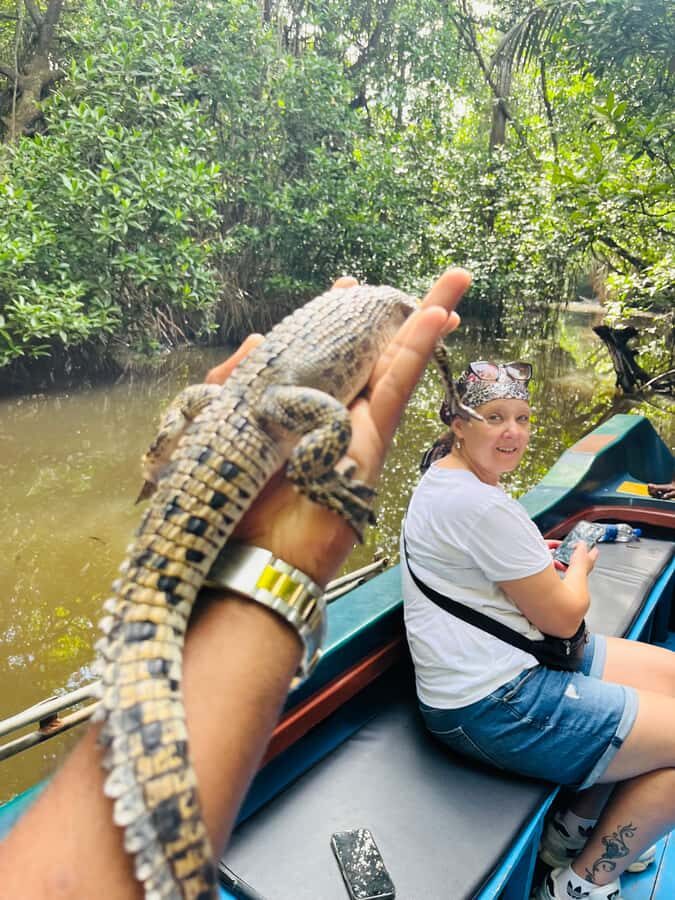 Bentota River Safari with Bazaar from ahungalla - The Experience’s Strengths and Considerations