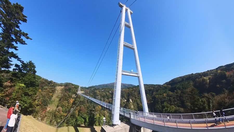 Beppu: Nordic Walking, Wagyu Lunch, and Yufuin Tour - The Sum Up: Who Will Enjoy This Tour?