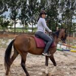 Best Horse Riding Safari Tour from Bangalore - What to Expect During the Tour