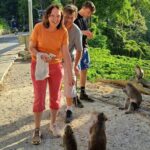 Best Lombok Monkey Forest with Benang Kelambu Waterfall - What’s Included and What’s Not