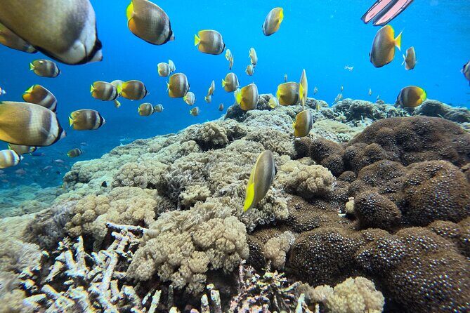 Best Of Bali 3 Days Bali Adventure Tour Package - What Makes This Tour Stand Out?