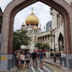 Best Singapore Private Customized Tour with a Local Guide - What to Expect on Your Tour