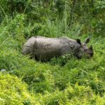 Bharatpur: 20000 Lake Guided Tour by Guide in Bicycle - An In-Depth Look at the Tour Experience