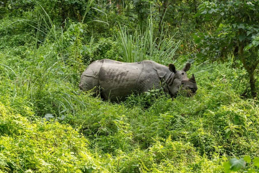 Bharatpur: 20000 Lake Guided Tour by Guide in Bicycle - An In-Depth Look at the Tour Experience