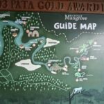 Bintan Island : Mangrove Or Fireflies Tour - The Itinerary: What’s Included and How It Works