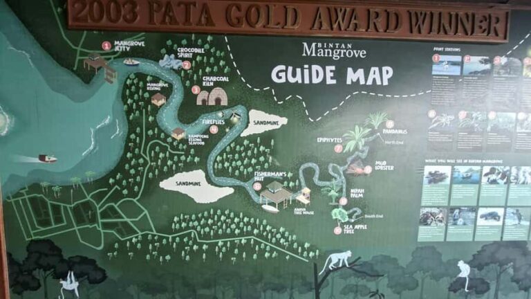 Bintan Island : Mangrove Or Fireflies Tour - The Itinerary: What’s Included and How It Works