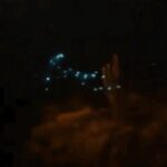 Bioluminescent Night Snorkeling - Who Will Love This Experience?