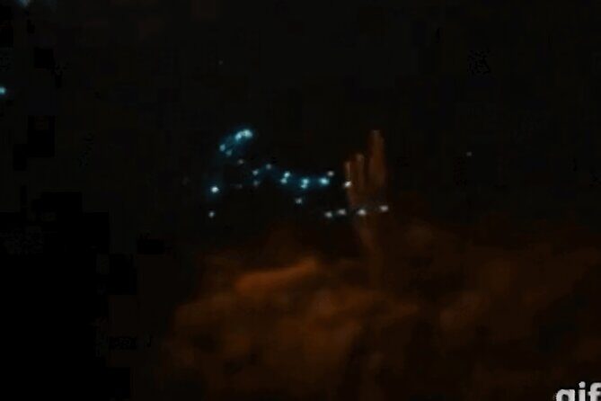 Bioluminescent Night Snorkeling - Who Will Love This Experience?