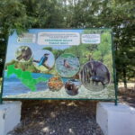 Bird Watching Tours in Samarkand - Why This Tour Is Worth Considering