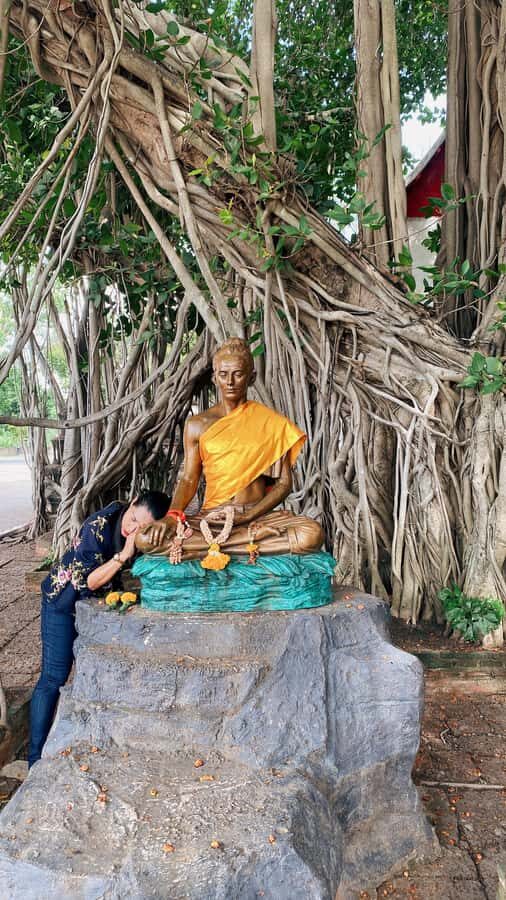 BKK:Hidden Heritage Suphan Buri 100Year Market &River Cruise - Why This Tour Works Well for Different Travelers