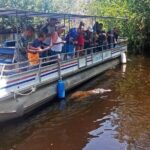 Black River Safari * YS Falls * Appleton Rum Tour - FAQs