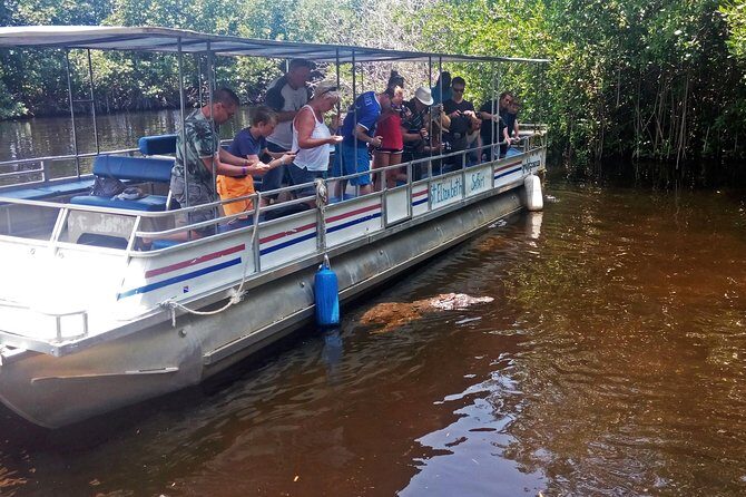 Black River Safari * YS Falls * Appleton Rum Tour - FAQs  