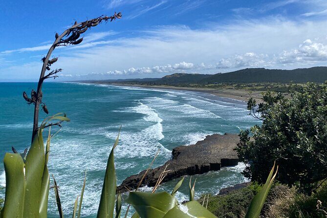 Black Sand Beaches & Birds Auckland Sightseeing Tour - Authentic Experiences and Guest Feedback