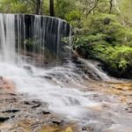 Blue Mountains private tour with Featherdale Wildlife Park - A Detailed Look at the Blue Mountains Private Tour