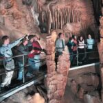 Blue Mountains Tour from Sydney - Full Day Private Tours - What Makes This Tour Stand Out