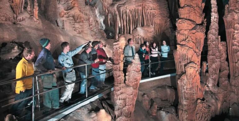 Blue Mountains Tour from Sydney - Full Day Private Tours - What Makes This Tour Stand Out