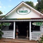 Bob Marley's Nine Mile Tour with Admission from Montego Bay - Authentic Insights from Reviewers