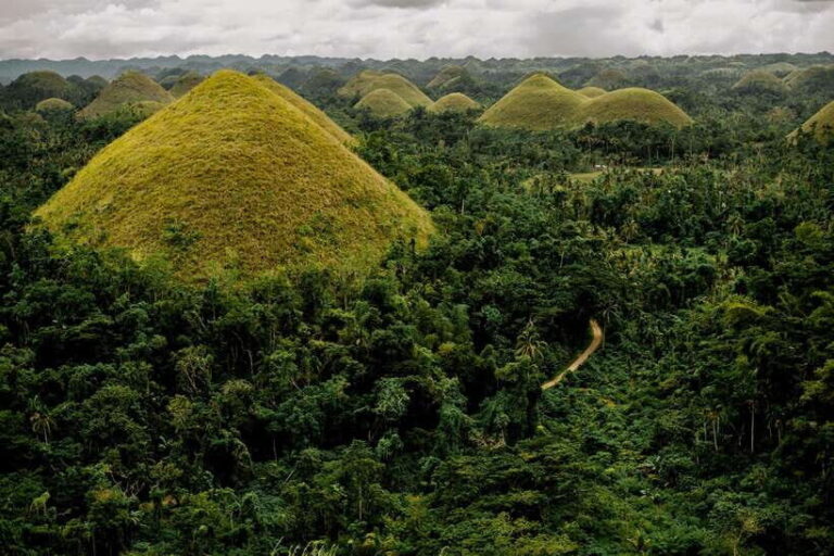Bohol Countryside Tour w Loboc River Lunch | Pick-up Panglao - What Travelers Say – Authentic Insights from Reviews