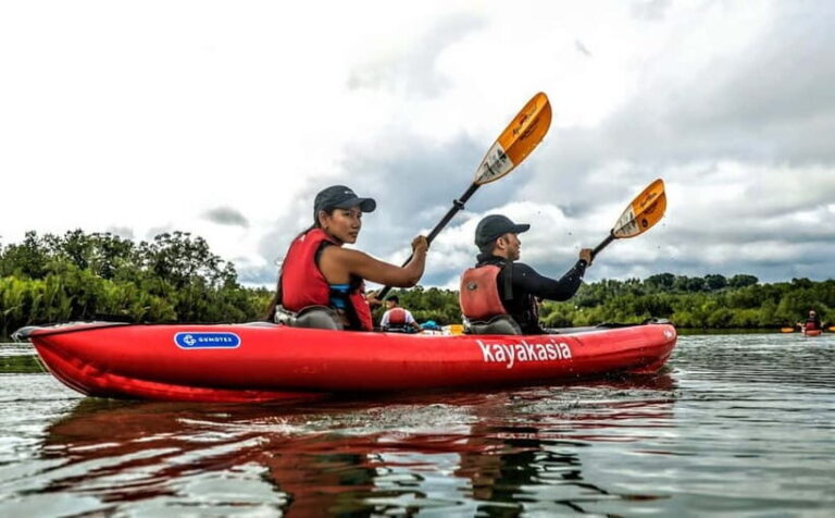 Bohol: SUSTAINABLE Mangrove Tunnels & Firefly Kayaking trail - Who Should Consider This Tour?