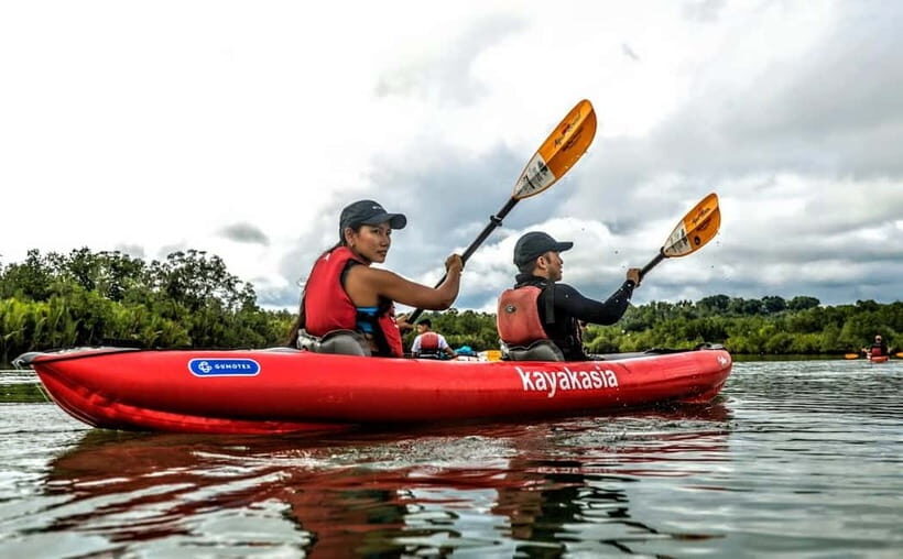 Bohol: SUSTAINABLE Mangrove Tunnels & Firefly Kayaking trail - Who Should Consider This Tour?