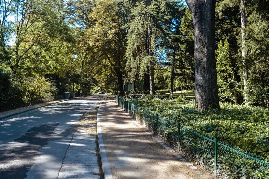 Bois de Boulogne tree-lined park path Paris in autumn