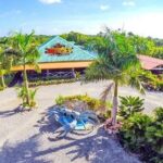 Boogies Adventure, Private Cave, Taino Show - Who Will Love This Tour?