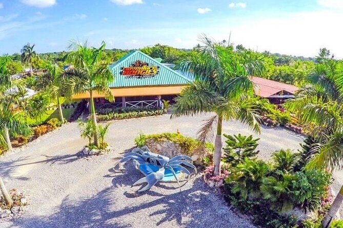 Boogies Adventure, Private Cave, Taino Show - Who Will Love This Tour?