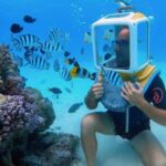 Bora Bora: Aquasafari Helmet Dive & Coral Garden Tour - How the Tour Feels in Practice