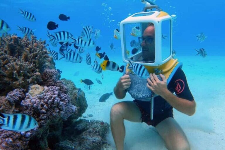Bora Bora: Aquasafari Helmet Dive & Coral Garden Tour - How the Tour Feels in Practice